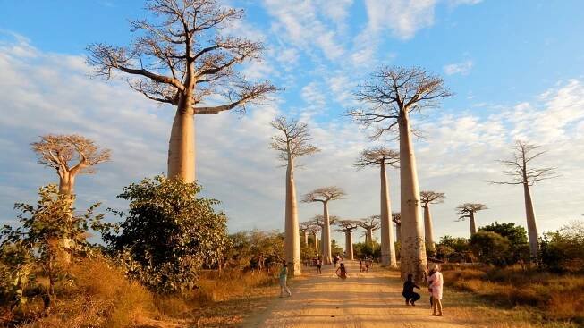 Dovolená Madagaskar