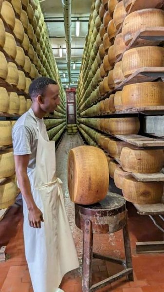 The Parma province of Emilia-Romagna: it’s not just food (but yes, the food is great!)
