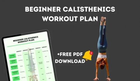 Beginner Calisthenics Workout Plan 2024 (How To Start + PDF)
