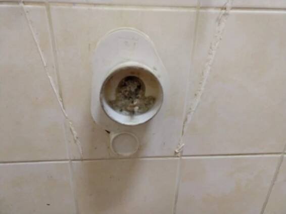 Cištění WC mušle - VolejFerdu.cz