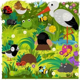 Kreslená scéna s různými evropskými zvířaty hlodavci a brouky na lesní louce ilustrace pro děti — Stock obrázek