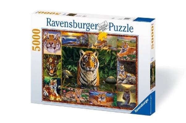 Puzzle Tygři 5000