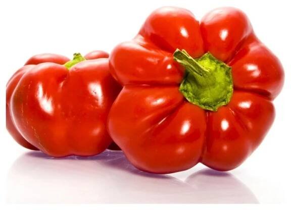 Rajčatová paprika Szuszanna - Capsicum annuum - semena - 7 ks od 69 Kč - Heureka.cz
