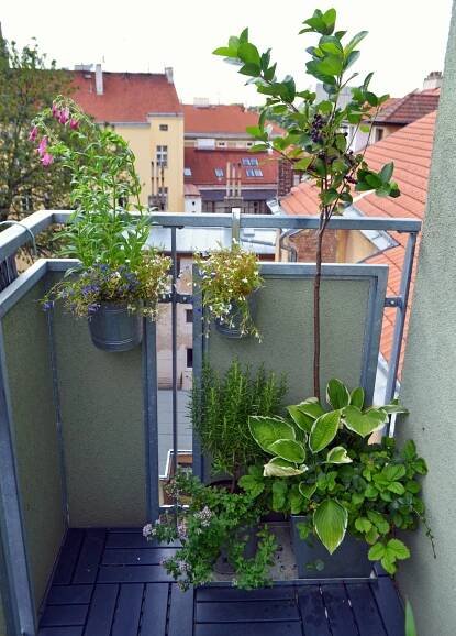 Městskému balkonu rostliny sluší