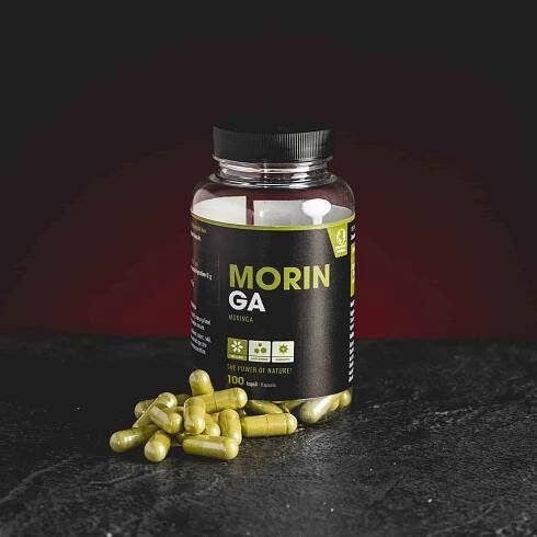 Kratom World Kapsle BIO MORINGA 100 ks