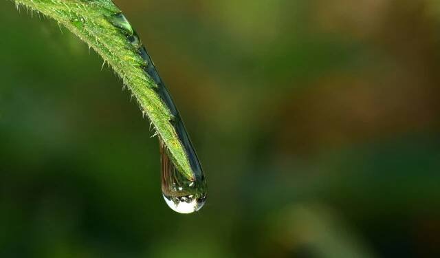 Falling Into Stillness