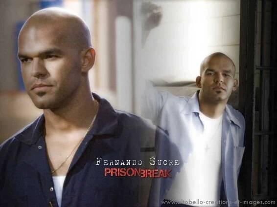 Amaury Nolasco fotka