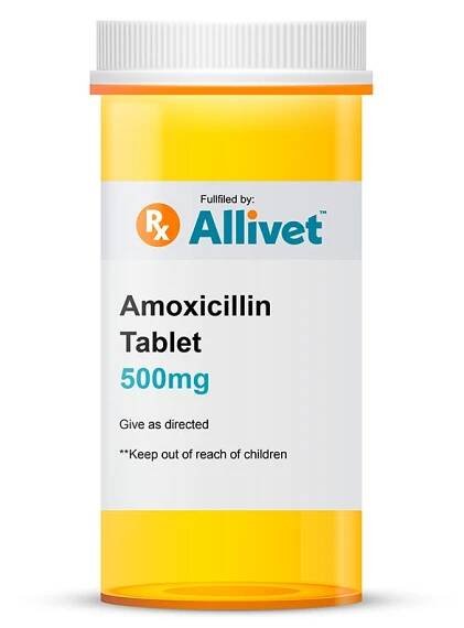 Amoxicilin 500mg online