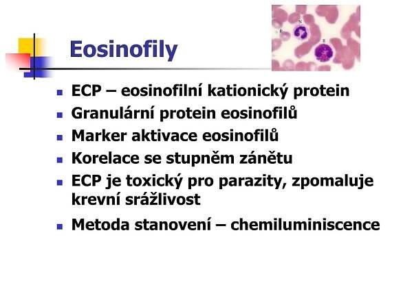 PPT - Nespecifické složky buněčné imunity PowerPoint Presentation - ID:5610967
