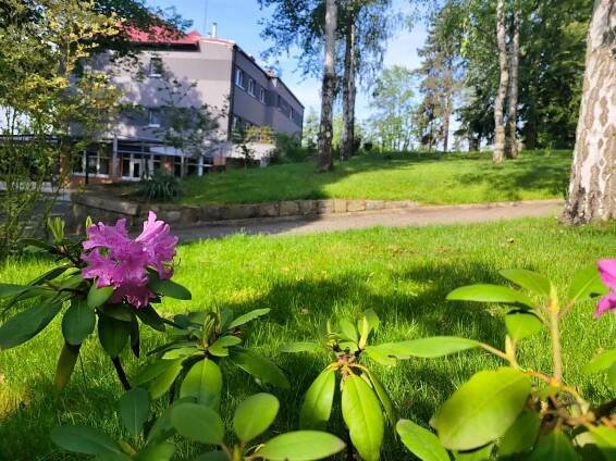 Penzion Harmony Javorník Ctyrkoly Exteriér fotografie