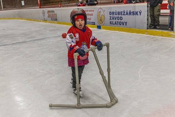 FOTO, VIDEO: Děti si hokejový den na zimáku v Klatovech užily, podívejte se
