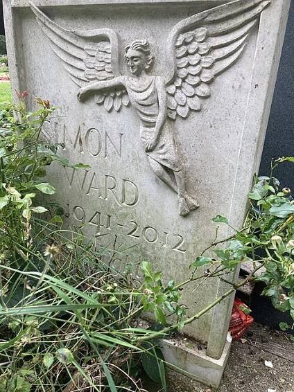 Simon Ward - Wikipedia