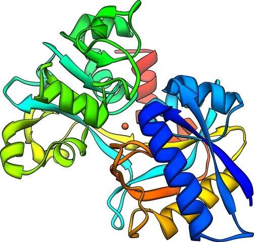 Total iron-binding capacity - Wikipedia