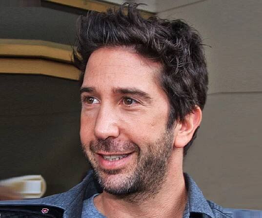 David Schwimmer