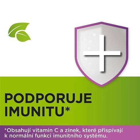 StrepHerbal Černý bez a Echinacea 24 pastilek
