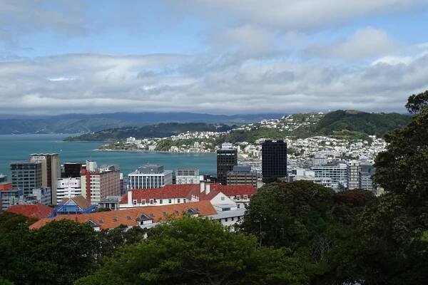Wellington a okolí | Vzhůru nohama