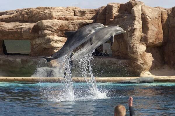 10 different suggestions for leisure and adventure in Lanzarote » Turismo Lanzarote