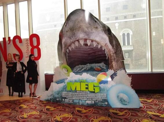 Is Megalodon alive? How we know the biggest shark is extinct