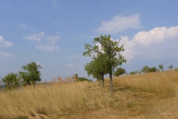 Za krajany do rumunského Banátu - Šumice