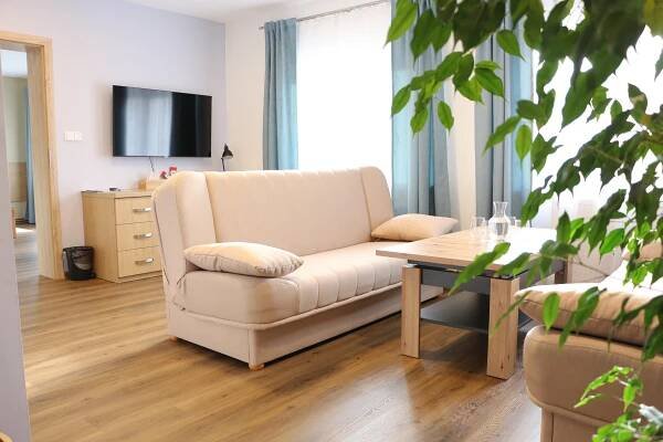 Privátní Business Apartmá Superior až pro 8 osob, Čtyřkoly, Javorník, Penzion Harmony resort Javorník