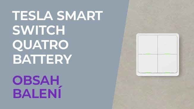 Tesla Smart Switch Quattro Battery