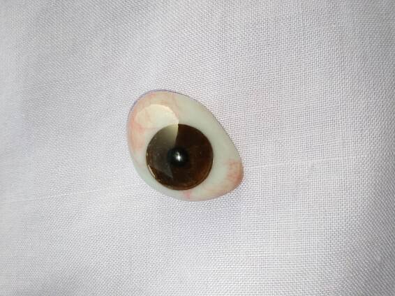 Ocular prosthesis