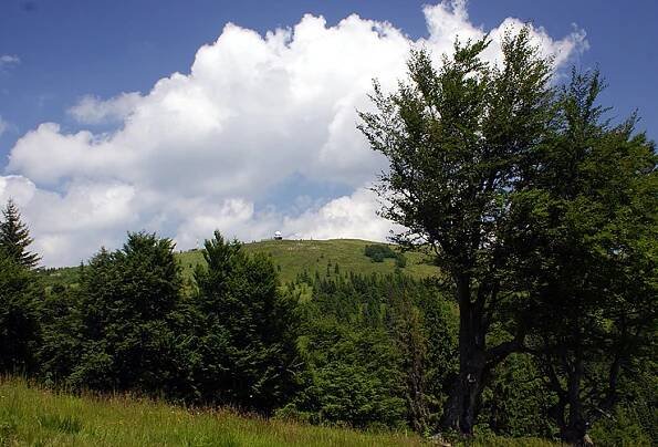 Kojšovská hoľa