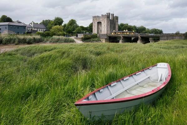 Clare News | Latest Local Clare News Headlines Today - Irish Independent
