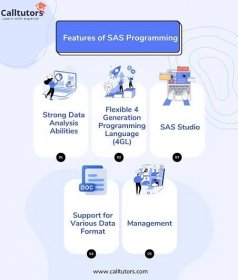 Features of SAS Programming