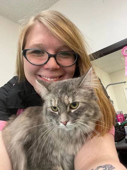 Cat Grooming | Cat Groomer Near Me
