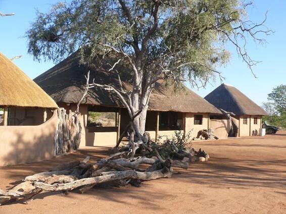 Motswiri Tented Camp — Wild At Tuli Safaris