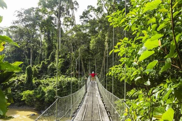 Man on bridge, tropical rainforest, Sabah, Borneo