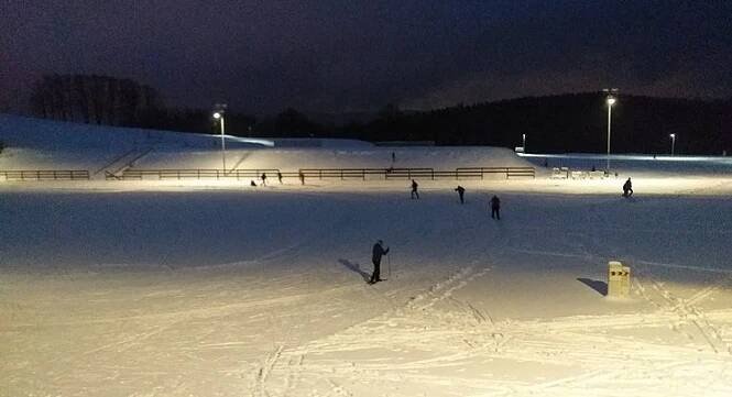 Skvělá příležitost nejen pro turisty a sportovce. Město upravilo nové běžecké stopy v rekreačním areálu Vesec. - naseveru.net