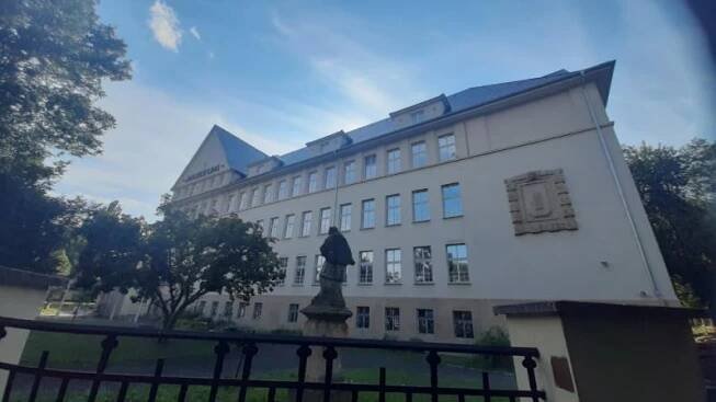 Před Oblastním muzeem v Mostě uvidíte 20 milionů let starý strom