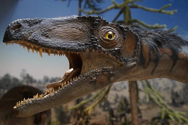 Nový druh dinosaura objevili vědci v Austrálii