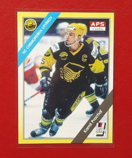 APS 1994 _ HC Litvínov _ KAMIL PRACHAŘ # 208 _/ 4082R