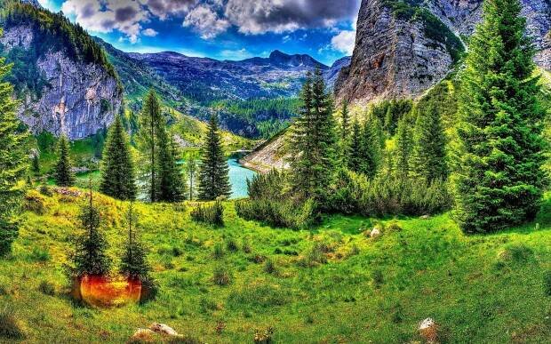 Beautiful Landscape Roadside Trees Wallpaper