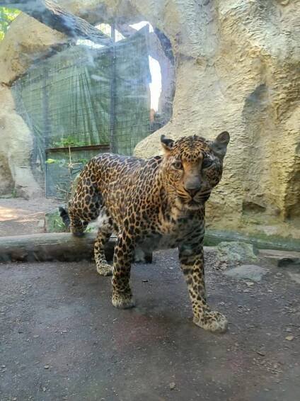 ZOO - Oficiální stránky Základní školy a mateřská školy Svatava