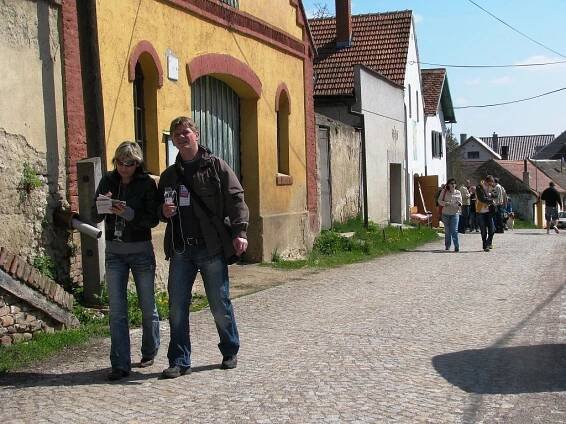 OBRAZEM: Festival vína otevřel třicet sklepů