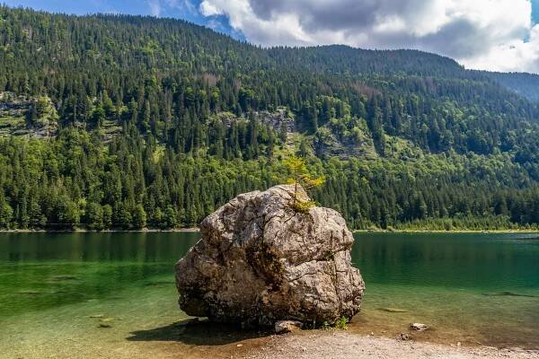 Kategorie: Příroda a zvířata – Tomáš Kopecký - Fotografické portfolio