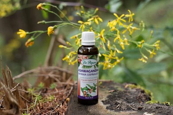 Ashwagandha (Vitánie snodárná), originální bylinné kapky, 50 ml - Dr. Popov