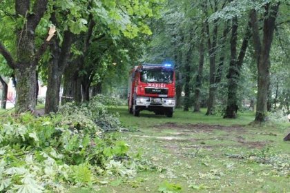 Chloubu Velenic poničila prudká bouřka, v oblíbené aleji vykácela desítky stromů