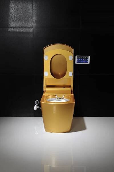 Electronic Smart Golden Toilet With App Control Function