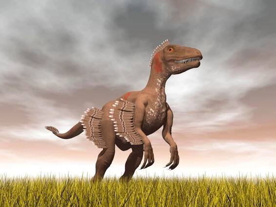 Podle nejnovějších poznatků byl raptor vybavený peřím
