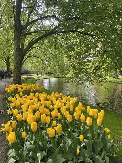 Keukenhof photos: park in bloom - Holland Explorer