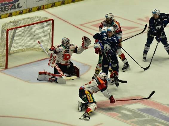 Pardubice míchaly sestavou a uspěly. Trenér Dynama: Brno je tvrdý oříšek