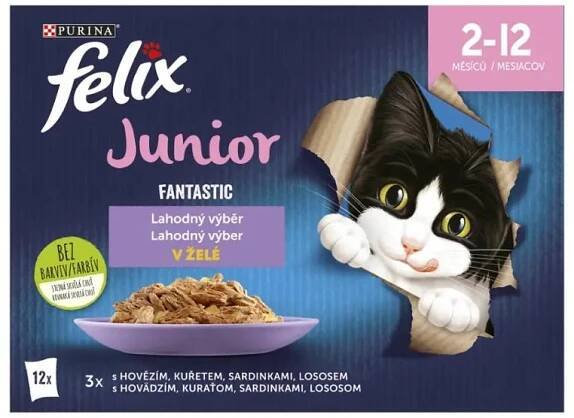 Felix Fantastic Junior lahodný výběr 12x 85 g, 1020 g