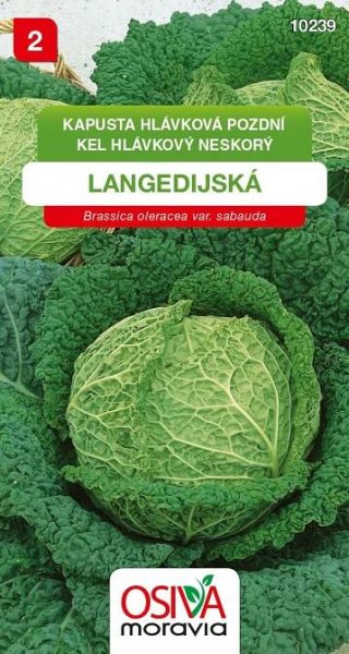 Osiva Moravia Langedijská kapusta hlávková pozdní 0,8 g od 13 Kč