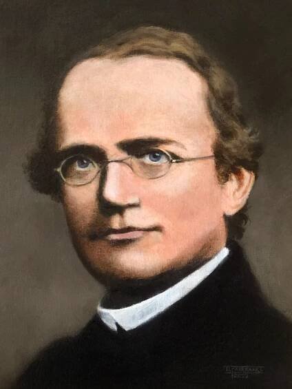 Soubor:Portrait of Gregor Johann Mendel by Daniel J. Fairbanks.jpg