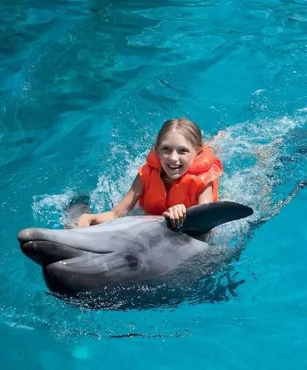 slide-swim-with-dolphin